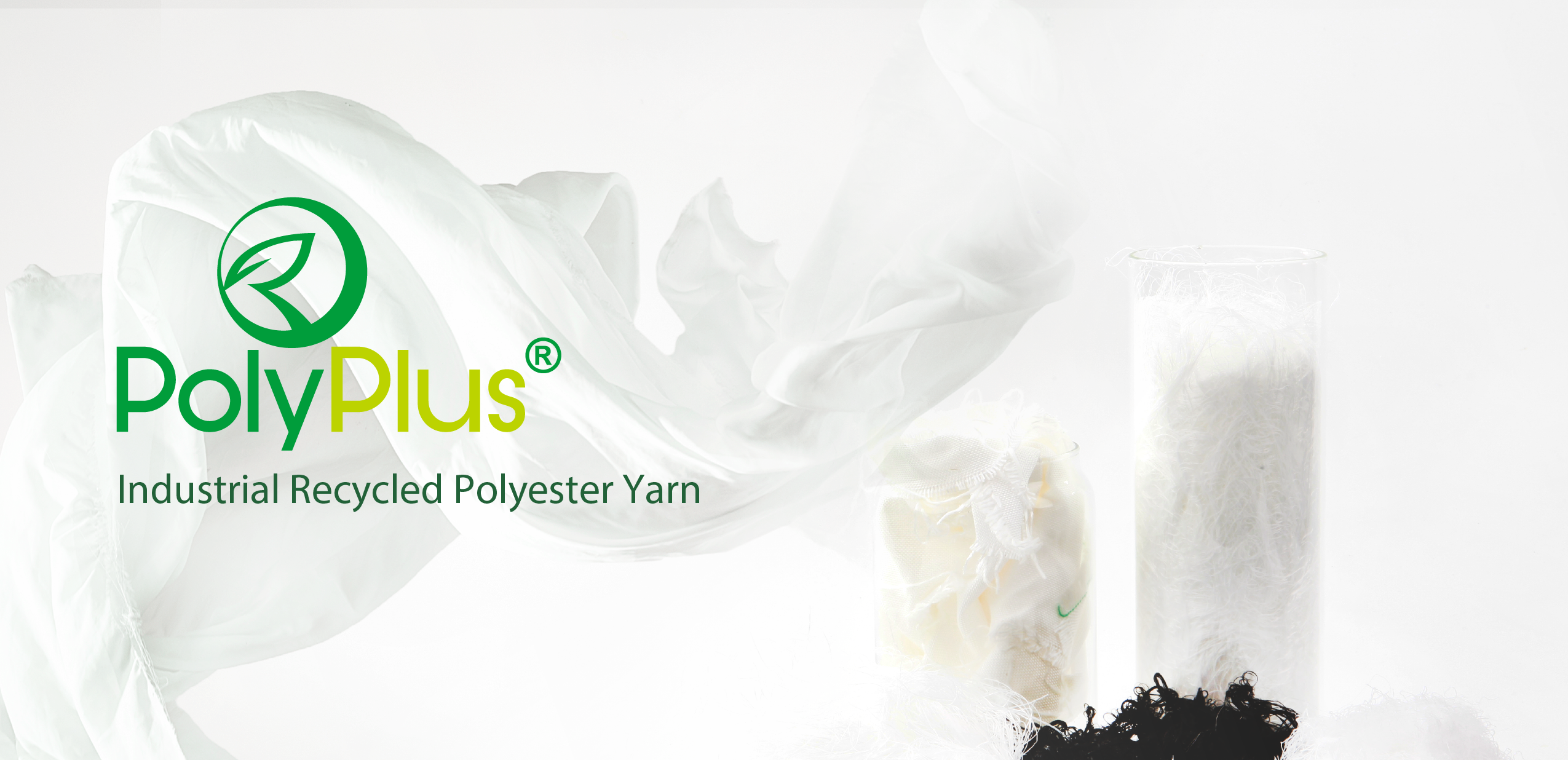 Polyplus